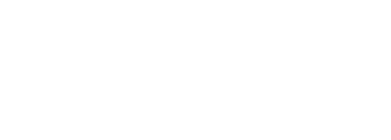 logo saas fee